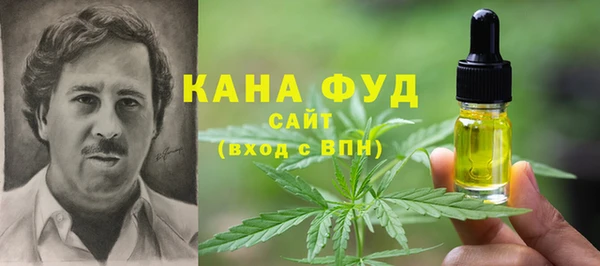 эйфоретик Арсеньев