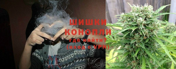 эйфоретик Арсеньев