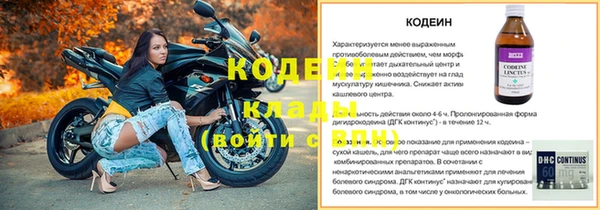 эйфоретик Арсеньев