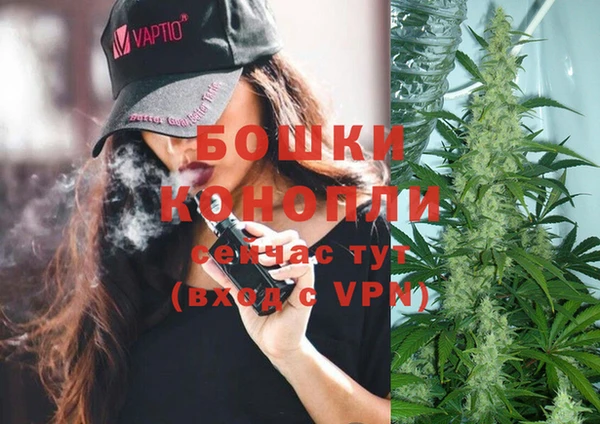 эйфоретик Арсеньев