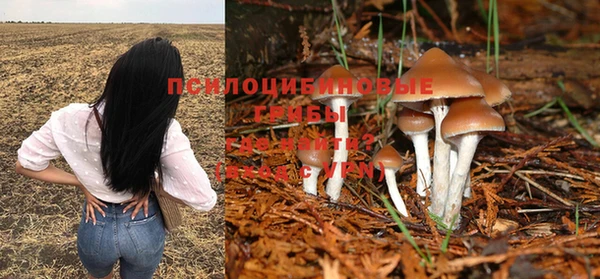 а пвп мука Армянск