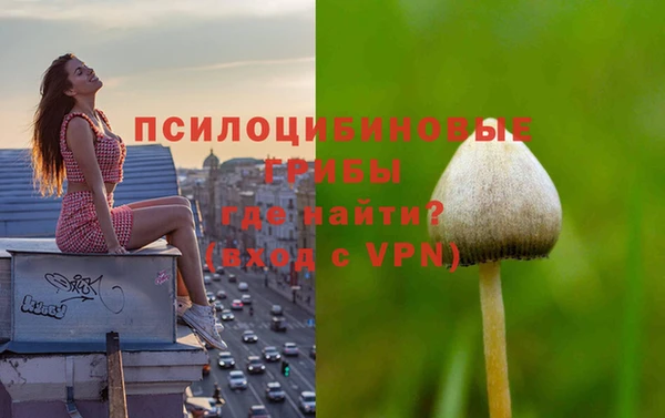 эйфоретик Арсеньев