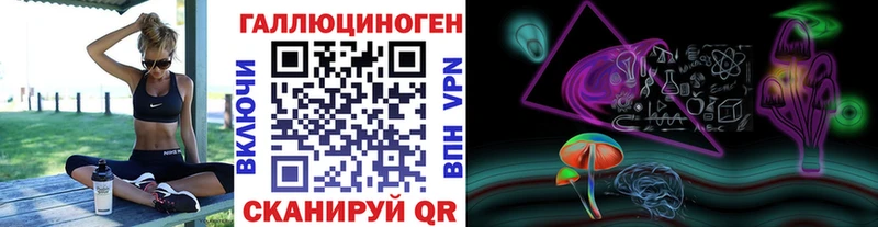 Псилоцибиновые грибы Psilocybine cubensis  наркота  Луга 