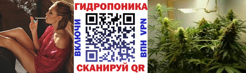 наркота Луга Бошки Шишки сатива